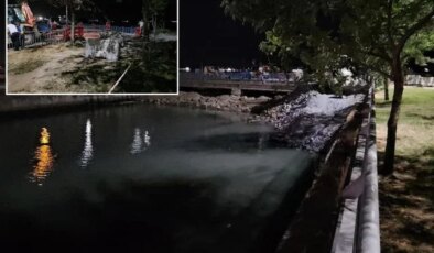 Bakırköy’de Çırpıcı Deresi’nde toplu balık ölümleri! AFAD inceleme başlattı