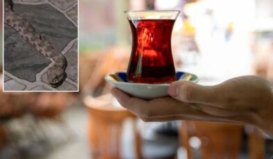 Balkona çay içmeye çıktı, karşısında dev yılanı görünce donakaldı