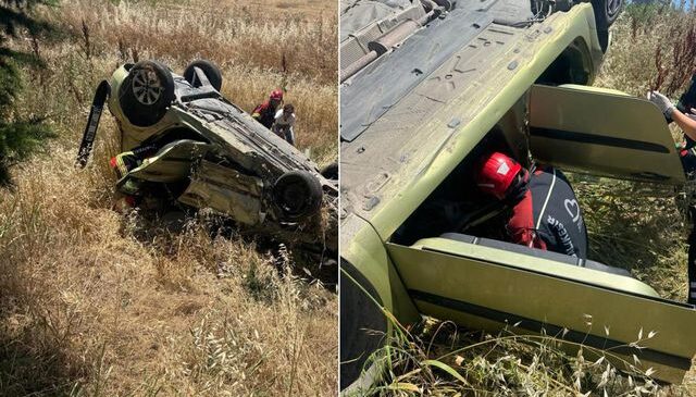 Bu manzaraya bir arı neden oldu! Ölü ve yaralılar var