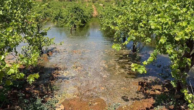 Batı Şeria’daki İsrailli yerleşimciler, Filistinlilerin tarım arazilerine kanalizasyon atığı bıraktı