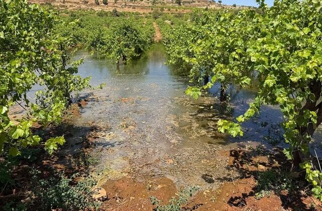 Batı Şeria’daki İsrailli yerleşimciler, Filistinlilerin tarım arazilerine kanalizasyon atığı bıraktı