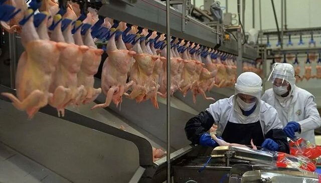 Beyaz et soruşturmasında gözaltına alınan 29 şüpheliye adli kontrol