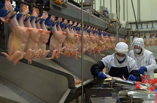 Beyaz et soruşturmasında gözaltına alınan 29 şüpheliye adli kontrol