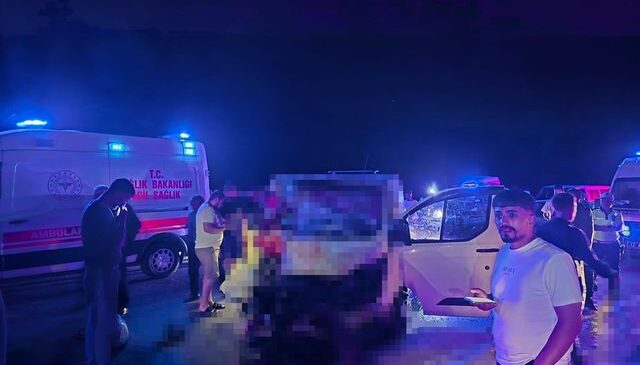 Minibüs, yola çıkan ata çarptı; 1 ölü, 2 yaralı
