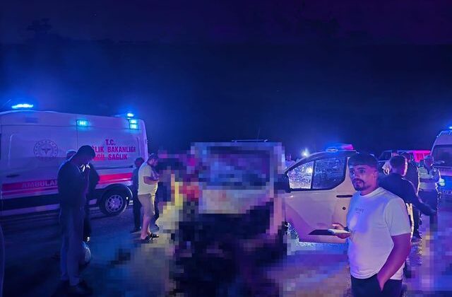 Minibüs, yola çıkan ata çarptı; 1 ölü, 2 yaralı