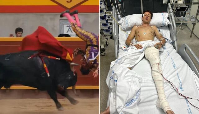 Boğanın hedefi olan genç matador ölümle pençeleşiyor