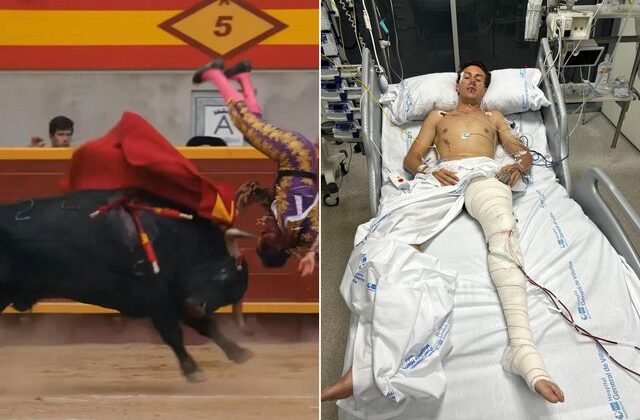 Boğanın hedefi olan genç matador ölümle pençeleşiyor