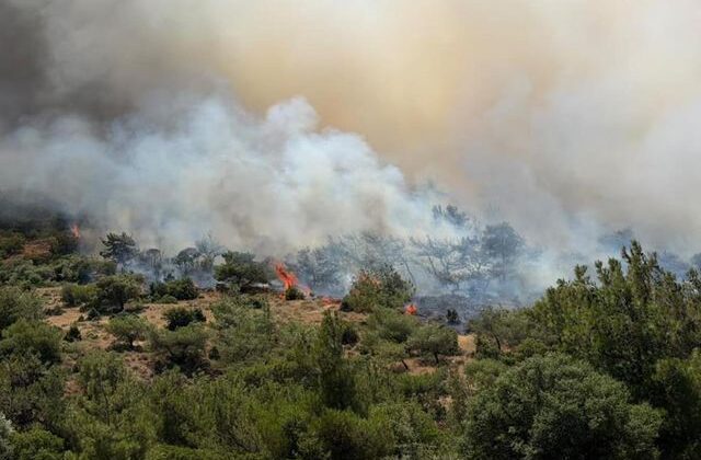 İzmir ve Bursa’da yangın! Tarım arazisinde başladı, ormana sıçradı