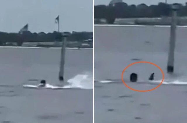 Donanma personeli öğle arasında denize girdi, köpekbalığının saldırısına uğradı