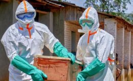 Ebola virüsü sınırları aştı, Avrupa ve Güney Amerika alarma geçti