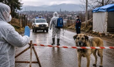 Van’ın Edremit ilçesinde kuduz alarmı: 7 mahalle karantinaya alındı