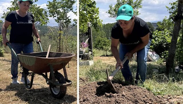 Toplaması yasak olan salep orkidelerini özel izinle atıl arazisine ekti, servet elde etti