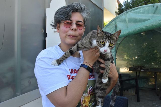 İzmir’de 6 milyonda 1 görülen olay! Erkek kedi doğum yaptı