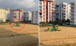 Apartmanların gölgesinde hasat! Arazisini isteyen müteahhitlere tek cümlelik yanıt veriyor