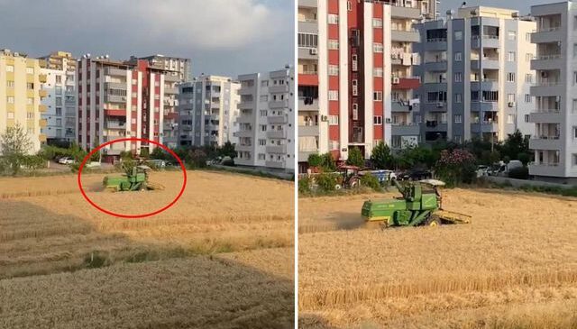 Apartmanların gölgesinde hasat! Arazisini isteyen müteahhitlere tek cümlelik yanıt veriyor