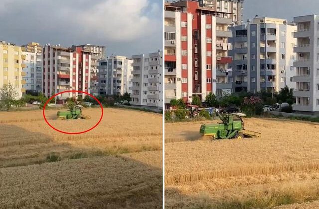 Apartmanların gölgesinde hasat! Arazisini isteyen müteahhitlere tek cümlelik yanıt veriyor