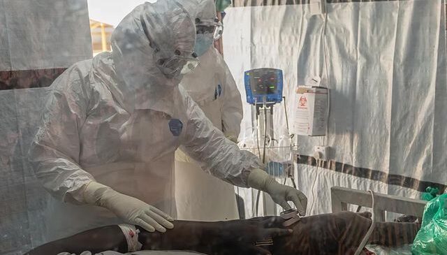 Fransa’da ilk Ebola vakası! 5 kişi karantinaya alındı