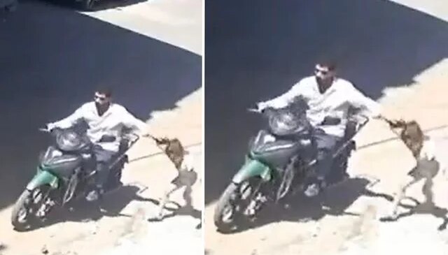 Gaziantep’te kızına şiddet uygulayan baba gözaltına alındı