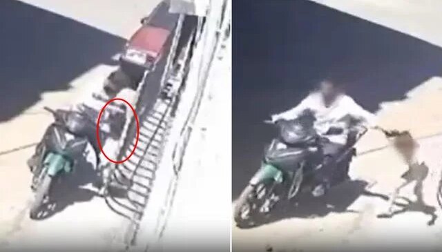 Gaziantep’te kızını darbedip saçından sürükleyen baba gözaltına alındı