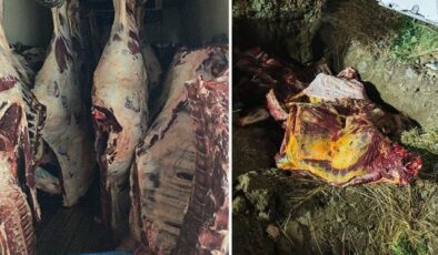 Sakarya’da ele geçirilen 1,8 ton kaçak et imha edildi