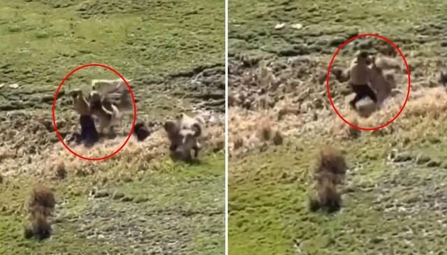 Görüntü Türkiye’den! Kamera dehşet anlarının her saniyesini kaydetti