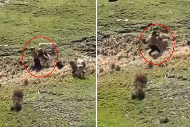Görüntü Türkiye’den! Kamera dehşet anlarının her saniyesini kaydetti