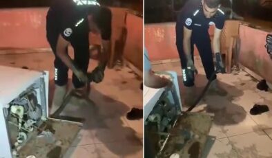 Bulaşık makinesine giren 2 metrelik karayılan evdekilere kabusu yaşattı