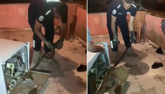 Bulaşık makinesine giren 2 metrelik karayılan evdekilere kabusu yaşattı