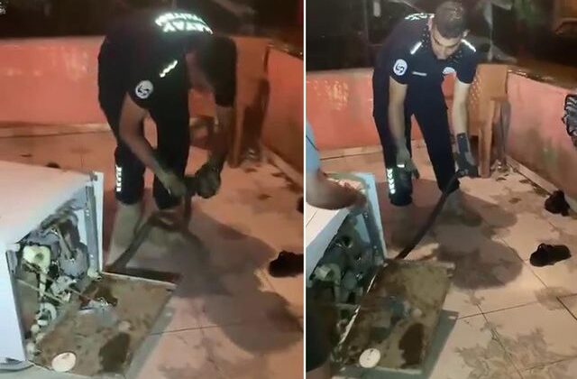 Bulaşık makinesine giren 2 metrelik karayılan evdekilere kabusu yaşattı