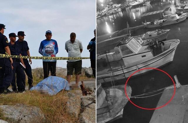 Sahil kenarında kahreden son! Çırpınarak can verdiği anlar kamerada