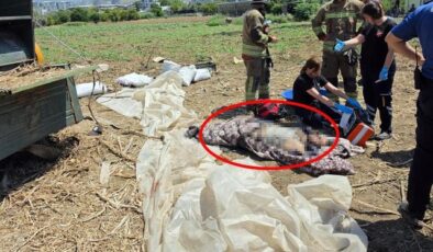 Hatay’da tarım makinesine sıkışan işçi öldü