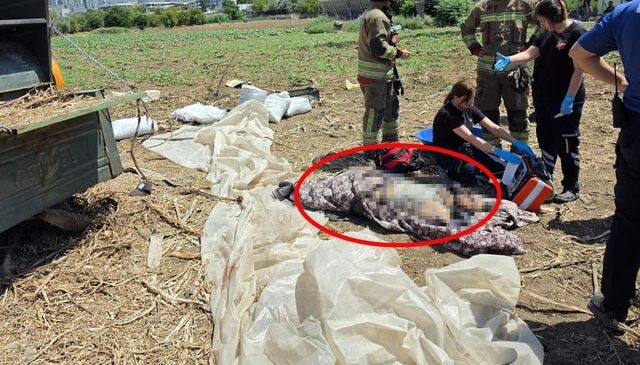 Hatay’da tarım makinesine sıkışan işçi öldü