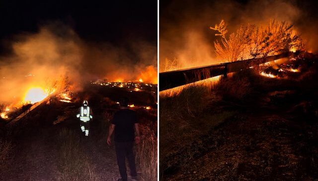 Hatay’da korkutan yangın: 200 dönümlük zeytinlik alanı kül oldu