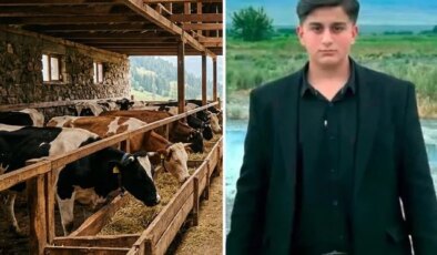 Iğdır’da büyükbaş hayvanın darbesiyle ağır yaralanan kişi hayatını kaybetti