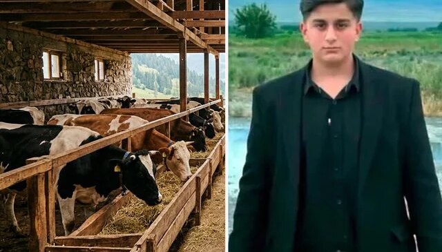 Iğdır’da büyükbaş hayvanın darbesiyle ağır yaralanan kişi hayatını kaybetti
