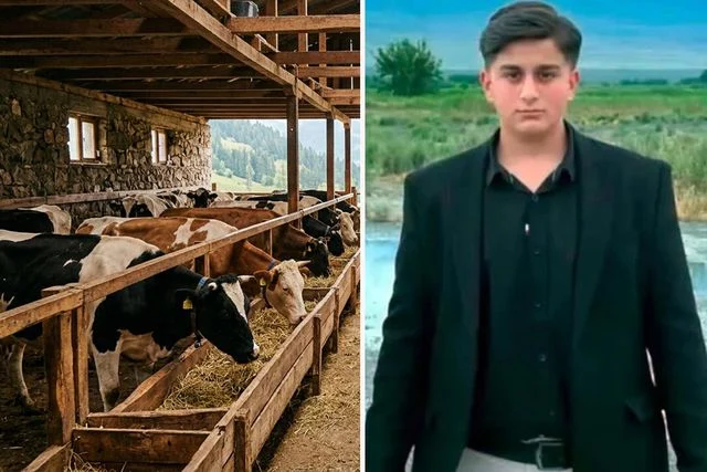 Iğdır'da büyükbaş hayvanın saldırısı sonucu genç yaşamını yitirdi