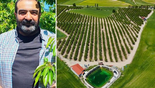 İlçenin başına talih kuşu kondu! Japonya’ya 200 ton ürün gönderecekler