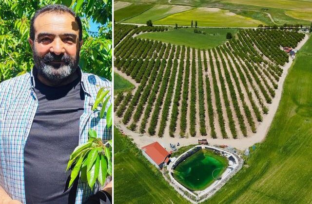 İlçenin başına talih kuşu kondu! Japonya’ya 200 ton ürün gönderecekler