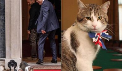İngiltere başbakanlık ofisinin kedisi 10 yılda 6 başbakan eskitti