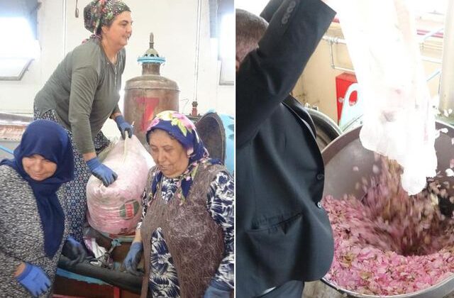 Isparta’nın pembe hazinesi! Kilosu 650 bin liraya alıcı buluyor
