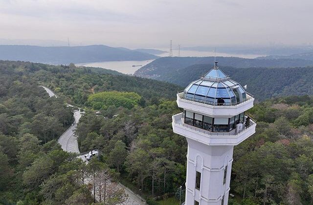 İstanbul’da ormanlara girişler 15 Ekim’e kadar yasaklandı