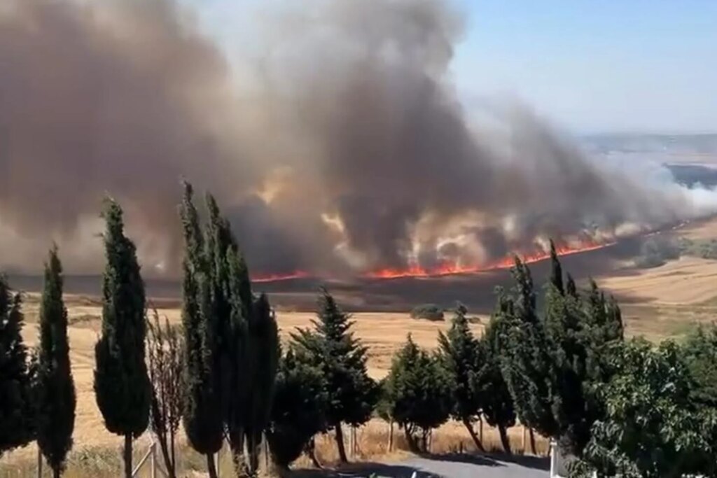 Büyükçekmece'de ot yangını