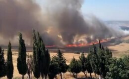 Büyükçekmece’de korkutan yangın! Rüzgarın etkisiyle büyüdü