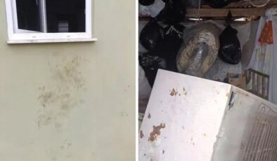 Bir günde 20 eve giren ayı yayla sakinlerini canından bezdirdi