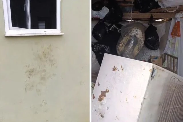 Bir günde 20 eve giren ayı yayla sakinlerini canından bezdirdi