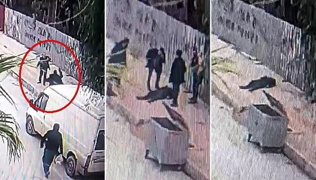 Kaldırım taşıyla cinayet davasında tahliye kararı