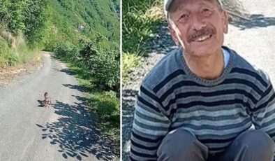 Yolda yürürken gördü, mutluluğu yüzüne yansıdı: Arçil ve Şota adını verdi