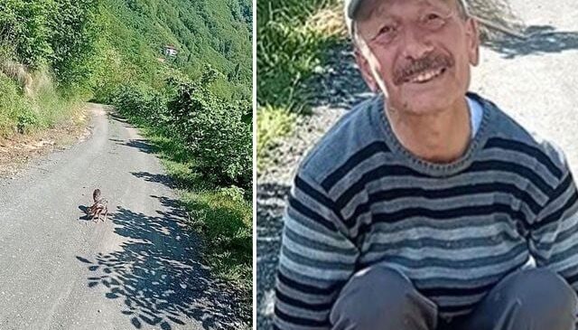 Yolda yürürken gördü, mutluluğu yüzüne yansıdı: Arçil ve Şota adını verdi