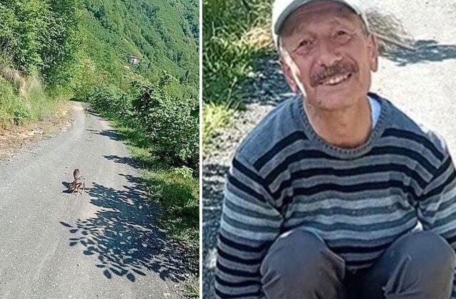 Yolda yürürken gördü, mutluluğu yüzüne yansıdı: Arçil ve Şota adını verdi