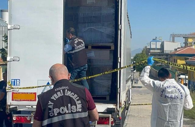 Tır şoförü dorsede ölü bulundu